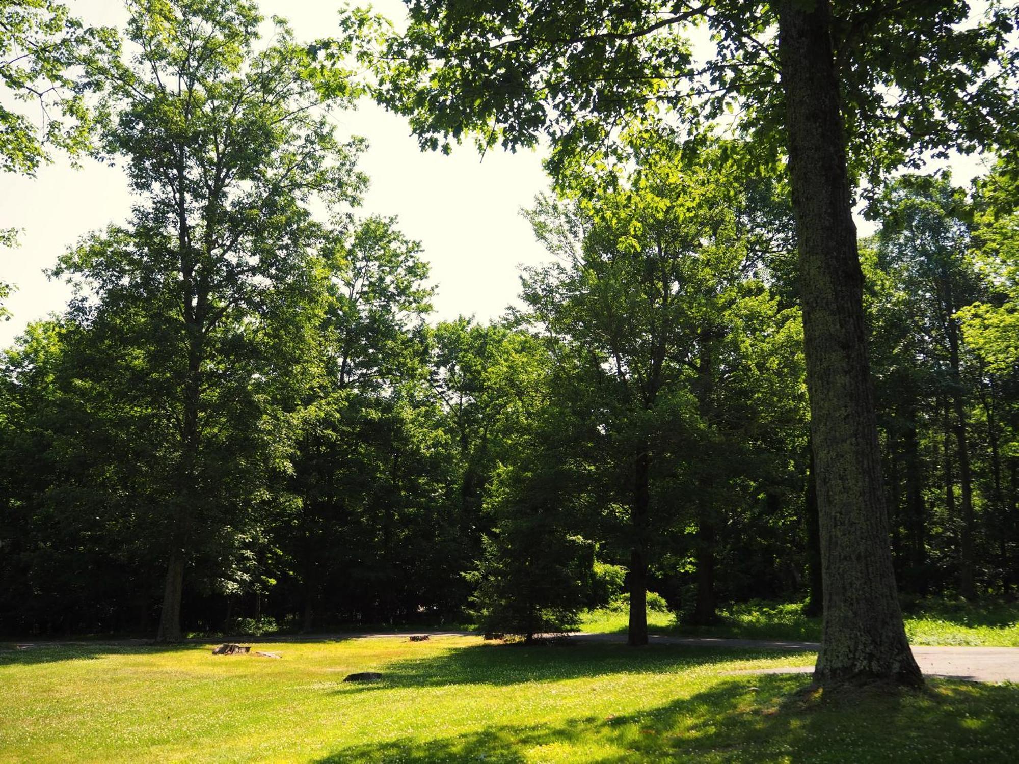 Woodfield Manor - A Sundance Vacations Property Cresco المظهر الخارجي الصورة